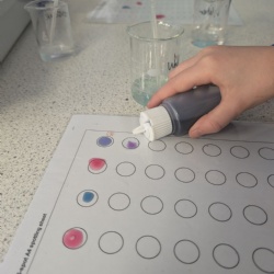 An Activity at the KLB taster day